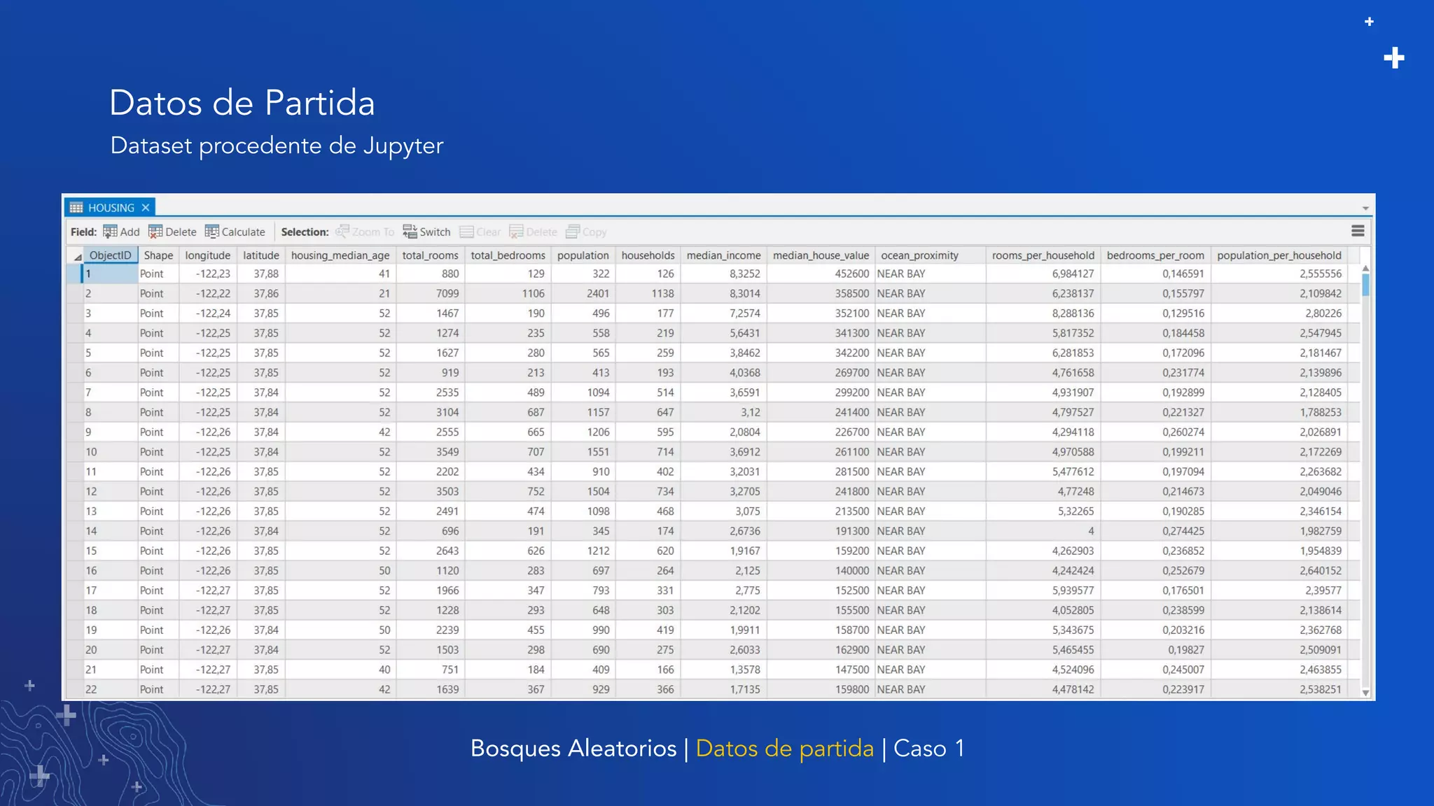Datos de Partida
Bosques Aleatorios | Datos de partida | Caso 1
Dataset procedente de Jupyter
 