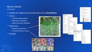Mosaic Dataset
Introducción
• Catálogo de imágenes almacenado dentro de la GeoDatabase
• Incluye:
• Fuentes referenciadas
...