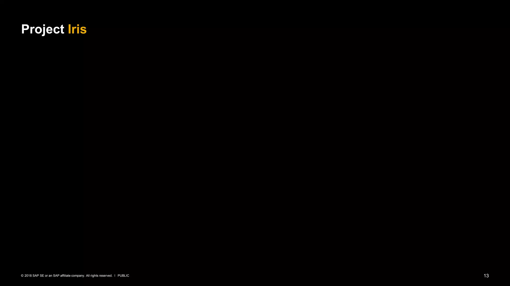 13PUBLIC© 2018 SAP SE or an SAP affiliate company. All rights reserved. ǀ
Project Iris
 
