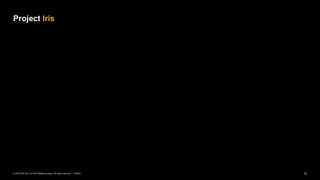 13PUBLIC© 2018 SAP SE or an SAP affiliate company. All rights reserved. ǀ
Project Iris
 