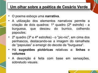 Um olhar sobre a poética de Cesário VerdeUm olhar sobre a poética de Cesário Verde
• O poema esboça uma narrativa.  
• A utilização dos elementos narrativos permite a
criação de dois quadros: 1º quadro (2ª estrofe) - a
burguesa, que desceu do burrico, colhendo
papoulas;
• 2º quadro (3ª e 4ª estrofes) - o "pic-nic", em cima dos
penhascos, destacando-se a imagem do ramalhete
de “papoulas” a emergir do decote da "burguesa".
• Há sugestões pictóricas relativas a: linhas e
volumes
• A descrição é feita com base em sensações,
sobretudo visuais.
 
