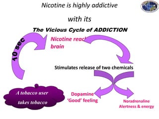 Stimulates release of two chemicals
Nicotine reaches
brain
Dopamine
‘Good’ feeling
Nicotine is highly addictive
with its
The Vicious Cycle of ADDICTION
A tobacco user
takes tobacco Noradrenaline
Alertness & energy
 