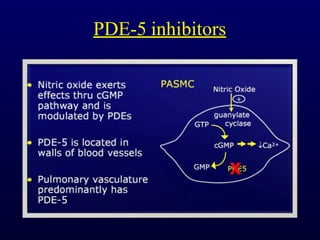 PDE-5 inhibitors
 