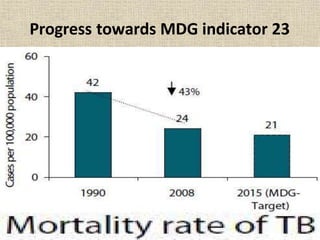 Progress towards MDG indicator 23
 
