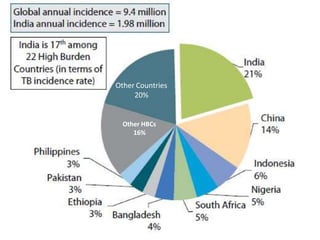 Other Countries
20%
Other HBCs
16%
 