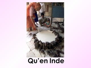 Qu’en Inde 