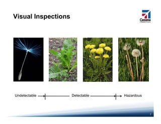 Visual Inspections
DetectableUndetectable Hazardous
7
 