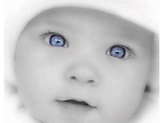 Cest laplus grande_richesse