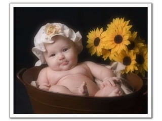 Cest laplus grande_richesse