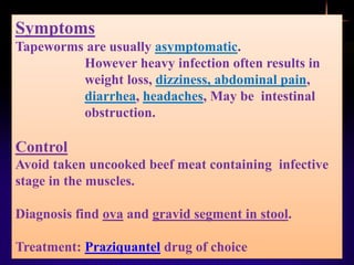 Symptoms
Tapeworms are usually asymptomatic.
However heavy infection often results in
weight loss, dizziness, abdominal pain,
diarrhea, headaches, May be intestinal
obstruction.
Control
Avoid taken uncooked beef meat containing infective
stage in the muscles.
Diagnosis find ova and gravid segment in stool.
Treatment: Praziquantel drug of choice
 