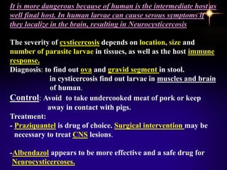 It is more dangerous because of human is the intermediate host as
well final host. In human larvae can cause serous symptoms if
they localize in the brain, resulting in Neurocysticercosis
The severity of cysticercosis depends on location, size and
number of parasite larvae in tissues, as well as the host immune
response.
Diagnosis: to find out ova and gravid segment in stool.
in cysticercosis find out larvae in muscles and brain
of human.
Control: Avoid to take undercooked meat of pork or keep
away in contact with pigs.
Treatment:
- Praziquantel is drug of choice. Surgical intervention may be
necessary to treat CNS lesions.
-Albendazol appears to be more effective and a safe drug for
Neurocysticercoses.
 