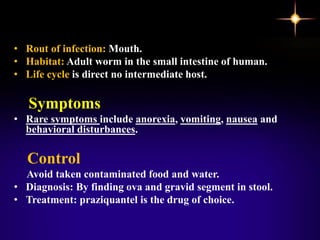 • Rout of infection: Mouth.
• Habitat: Adult worm in the small intestine of human.
• Life cycle is direct no intermediate host.
Symptoms
• Rare symptoms include anorexia, vomiting, nausea and
behavioral disturbances.
Control
Avoid taken contaminated food and water.
• Diagnosis: By finding ova and gravid segment in stool.
• Treatment: praziquantel is the drug of choice.
 