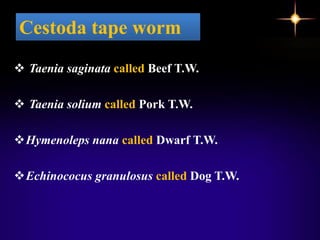  Taenia saginata called Beef T.W.
 Taenia solium called Pork T.W.
Hymenoleps nana called Dwarf T.W.
Echinococus granulosus called Dog T.W.
Cestoda tape worm
 