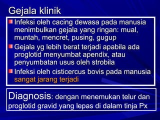 Gejala klinik
Infeksi oleh cacing dewasa pada manusia
menimbulkan gejala yang ringan: mual,
muntah, mencret, pusing, gugup
Gejala yg lebih berat terjadi apabila ada
proglotid menyumbat apendix, atau
penyumbatan usus oleh strobila
Infeksi oleh cisticercus bovis pada manusia
sangat jarang terjadi

Diagnosis: dengan menemukan telur dan
proglotid gravid yang lepas di dalam tinja Px

 