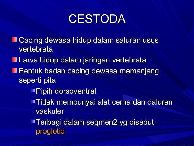 100+ Gambar Telur Cacing Cestoda Paling Hist 100+ Gambar Telur Cacing Cestoda Paling Hist