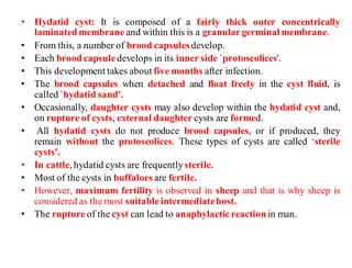 Cestode.pdf