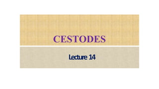 CESTODES
Lecture14
 