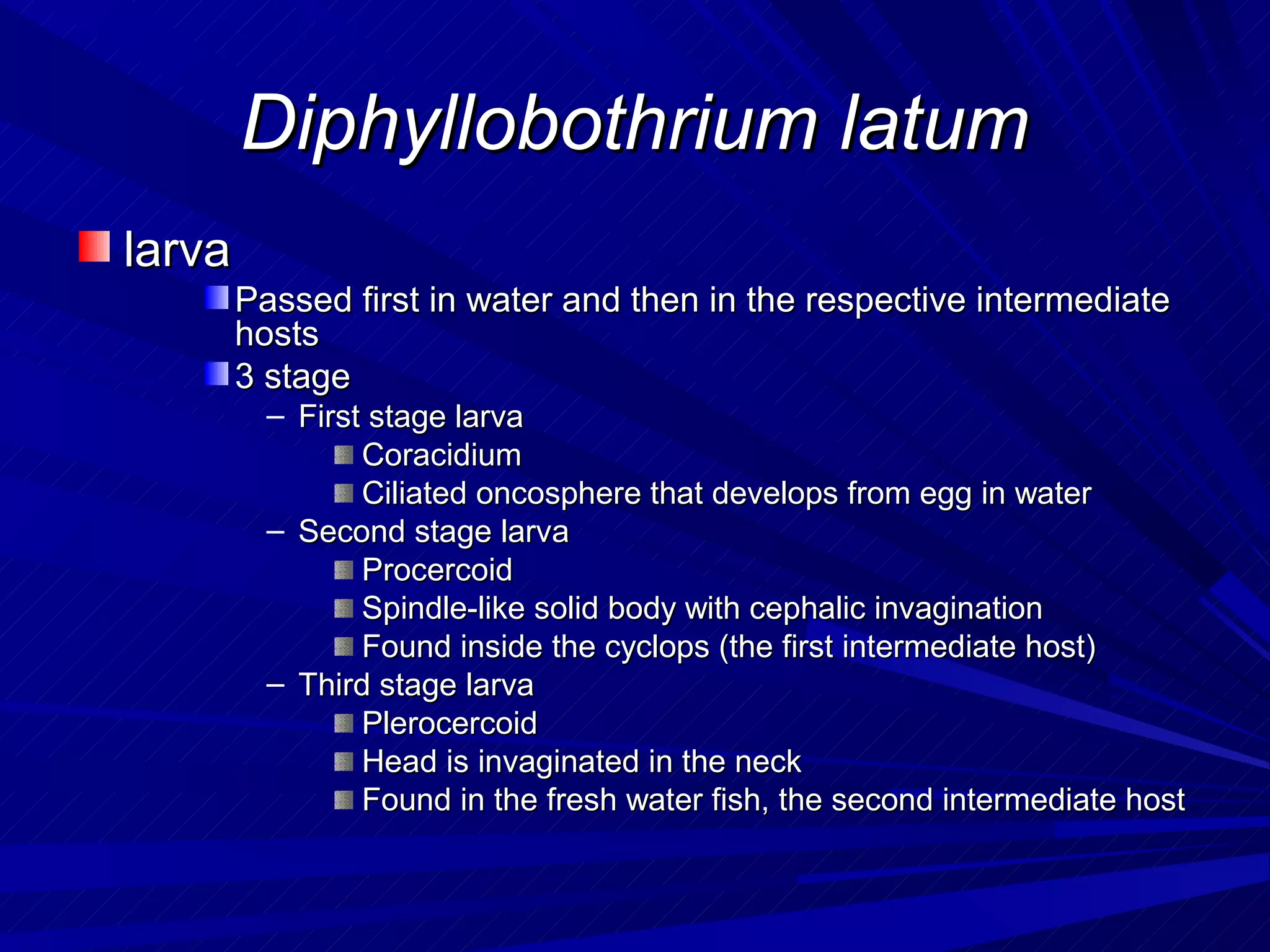 Diphyllobothrium latum
larva
        Passed first in water and then in the respective intermediate
        hosts
        3 stage
          – First stage larva
                 Coracidium
                 Ciliated oncosphere that develops from egg in water
          – Second stage larva
                 Procercoid
                 Spindle-like solid body with cephalic invagination
                 Found inside the cyclops (the first intermediate host)
          – Third stage larva
                 Plerocercoid
                 Head is invaginated in the neck
                 Found in the fresh water fish, the second intermediate host
 