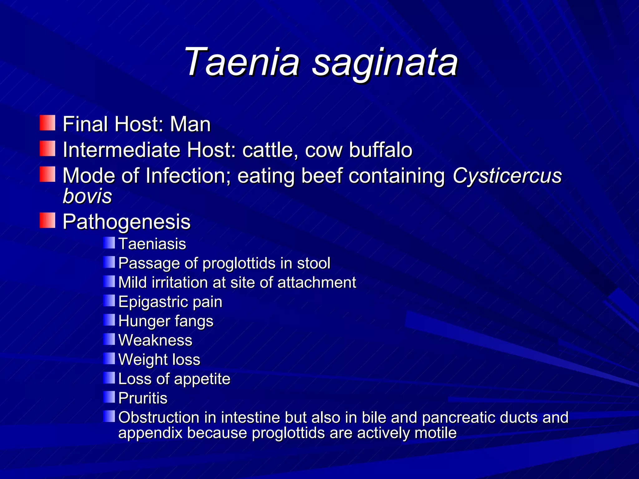 Taenia saginata
Final Host: Man
Intermediate Host: cattle, cow buffalo
Mode of Infection; eating beef containing Cysticercus
bovis
Pathogenesis
     Taeniasis
     Passage of proglottids in stool
     Mild irritation at site of attachment
     Epigastric pain
     Hunger fangs
     Weakness
     Weight loss
     Loss of appetite
     Pruritis
     Obstruction in intestine but also in bile and pancreatic ducts and
     appendix because proglottids are actively motile
 