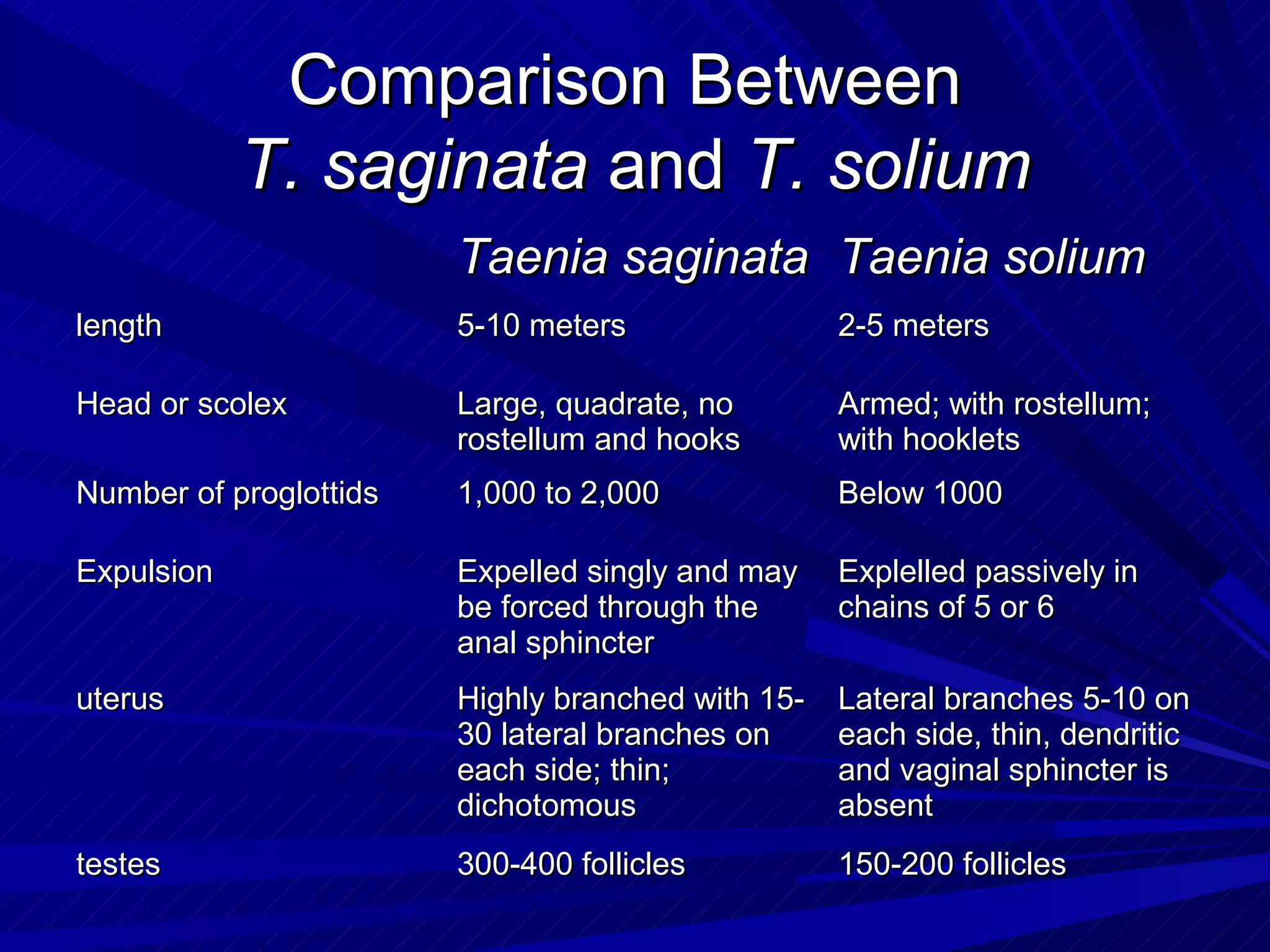 Comparison Between
            T. saginata and T. solium
                        Taenia saginata Taenia solium
length                  5-10 meters                2-5 meters

Head or scolex          Large, quadrate, no        Armed; with rostellum;
                        rostellum and hooks        with hooklets
Number of proglottids   1,000 to 2,000             Below 1000

Expulsion               Expelled singly and may    Explelled passively in
                        be forced through the      chains of 5 or 6
                        anal sphincter
uterus                  Highly branched with 15-   Lateral branches 5-10 on
                        30 lateral branches on     each side, thin, dendritic
                        each side; thin;           and vaginal sphincter is
                        dichotomous                absent
testes                  300-400 follicles          150-200 follicles
 