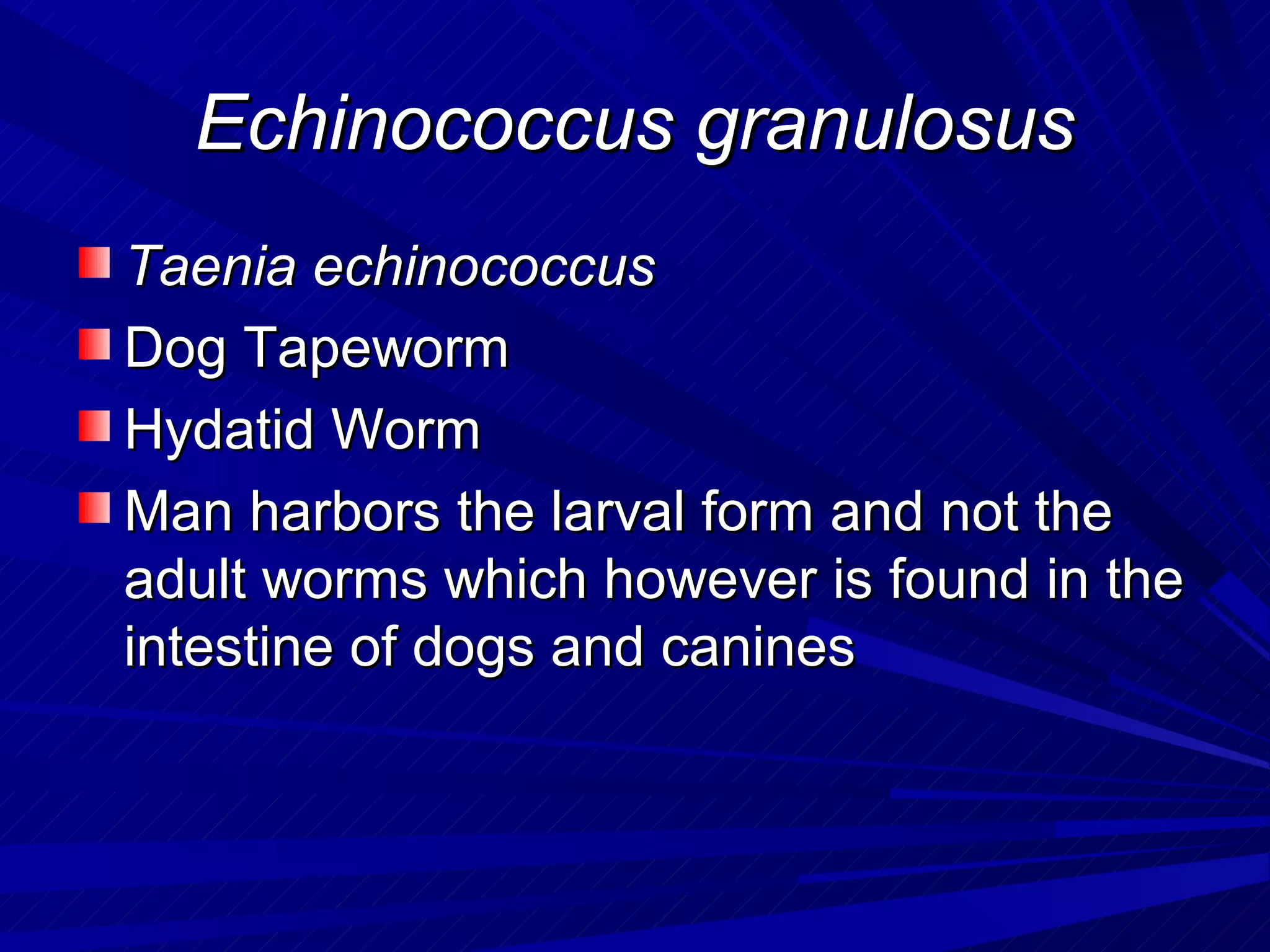 Echinococcus granulosus
Taenia echinococcus
Dog Tapeworm
Hydatid Worm
Man harbors the larval form and not the
adult worms which however is found in the
intestine of dogs and canines
 