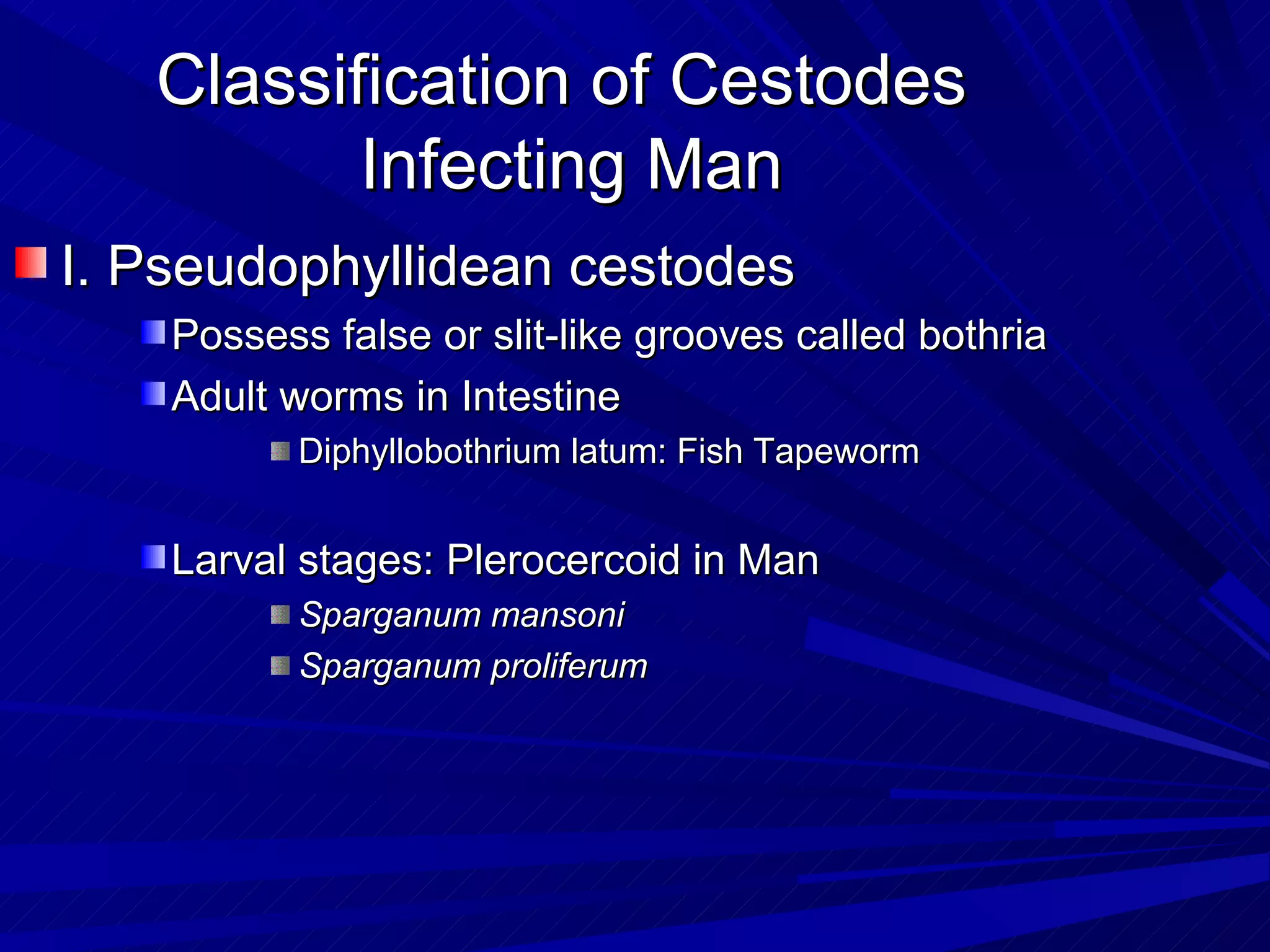 Classification of Cestodes
          Infecting Man
I. Pseudophyllidean cestodes
    Possess false or slit-like grooves called bothria
    Adult worms in Intestine
           Diphyllobothrium latum: Fish Tapeworm


    Larval stages: Plerocercoid in Man
           Sparganum mansoni
           Sparganum proliferum
 