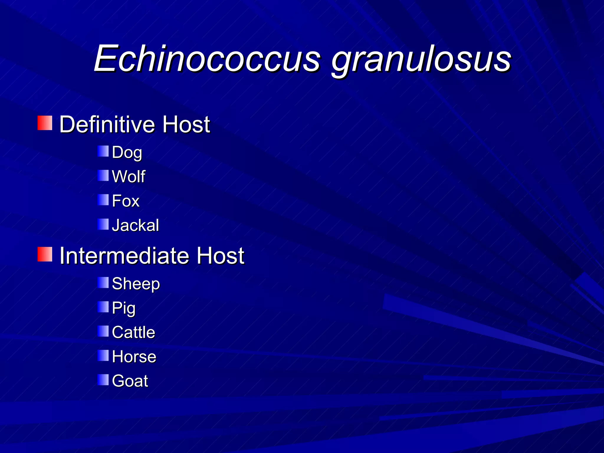 Echinococcus granulosus
Definitive Host
     Dog
     Wolf
     Fox
     Jackal
Intermediate Host
     Sheep
     Pig
     Cattle
     Horse
     Goat
 