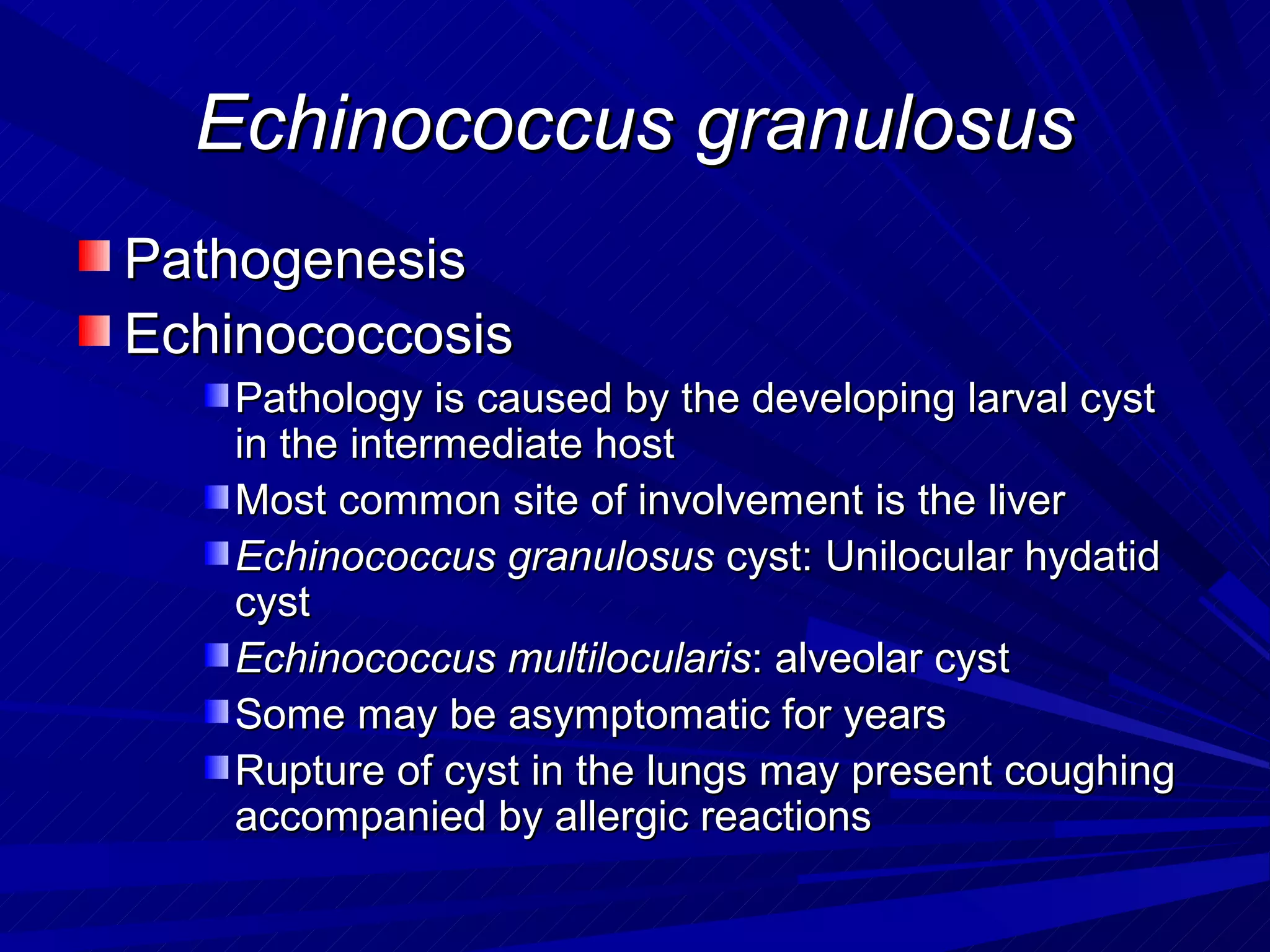 Echinococcus granulosus
Pathogenesis
Echinococcosis
   Pathology is caused by the developing larval cyst
   in the intermediate host
   Most common site of involvement is the liver
   Echinococcus granulosus cyst: Unilocular hydatid
   cyst
   Echinococcus multilocularis: alveolar cyst
   Some may be asymptomatic for years
   Rupture of cyst in the lungs may present coughing
   accompanied by allergic reactions
 
