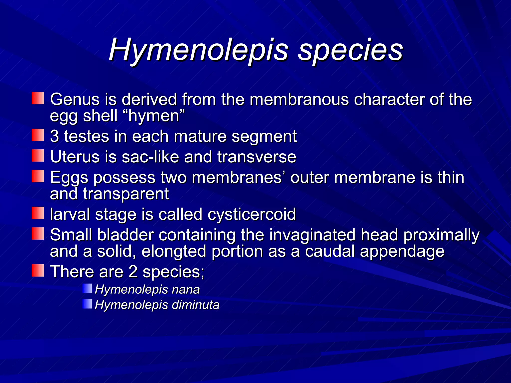 Hymenolepis species
Genus is derived from the membranous character of the
egg shell “hymen”
3 testes in each mature segment
Uterus is sac-like and transverse
Eggs possess two membranes’ outer membrane is thin
and transparent
larval stage is called cysticercoid
Small bladder containing the invaginated head proximally
and a solid, elongted portion as a caudal appendage
There are 2 species;
     Hymenolepis nana
     Hymenolepis diminuta
 