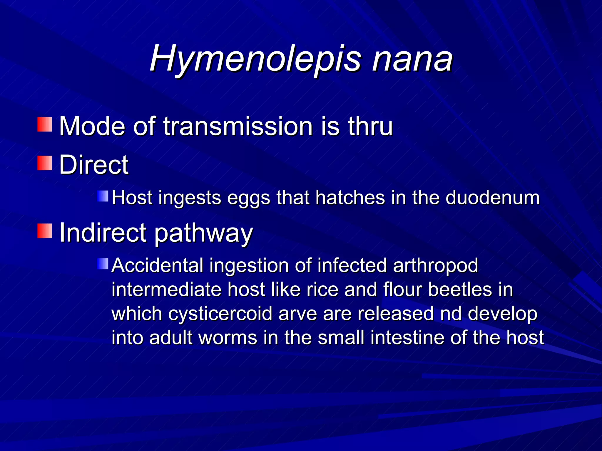 Hymenolepis nana
Mode of transmission is thru
Direct
    Host ingests eggs that hatches in the duodenum
Indirect pathway
    Accidental ingestion of infected arthropod
    intermediate host like rice and flour beetles in
    which cysticercoid arve are released nd develop
    into adult worms in the small intestine of the host
 
