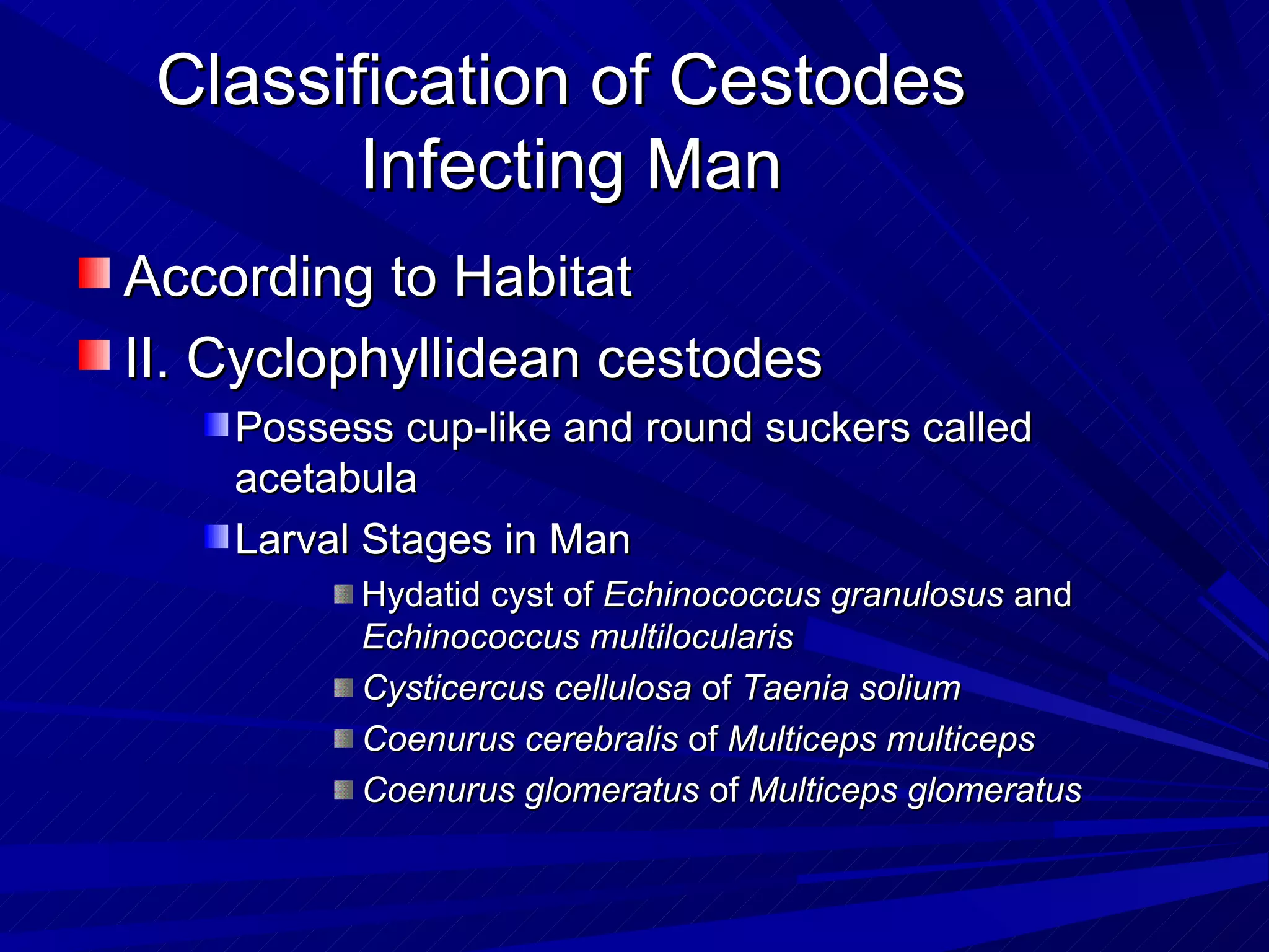 Classification of Cestodes
        Infecting Man
According to Habitat
II. Cyclophyllidean cestodes
    Possess cup-like and round suckers called
    acetabula
    Larval Stages in Man
          Hydatid cyst of Echinococcus granulosus and
          Echinococcus multilocularis
          Cysticercus cellulosa of Taenia solium
          Coenurus cerebralis of Multiceps multiceps
          Coenurus glomeratus of Multiceps glomeratus
 
