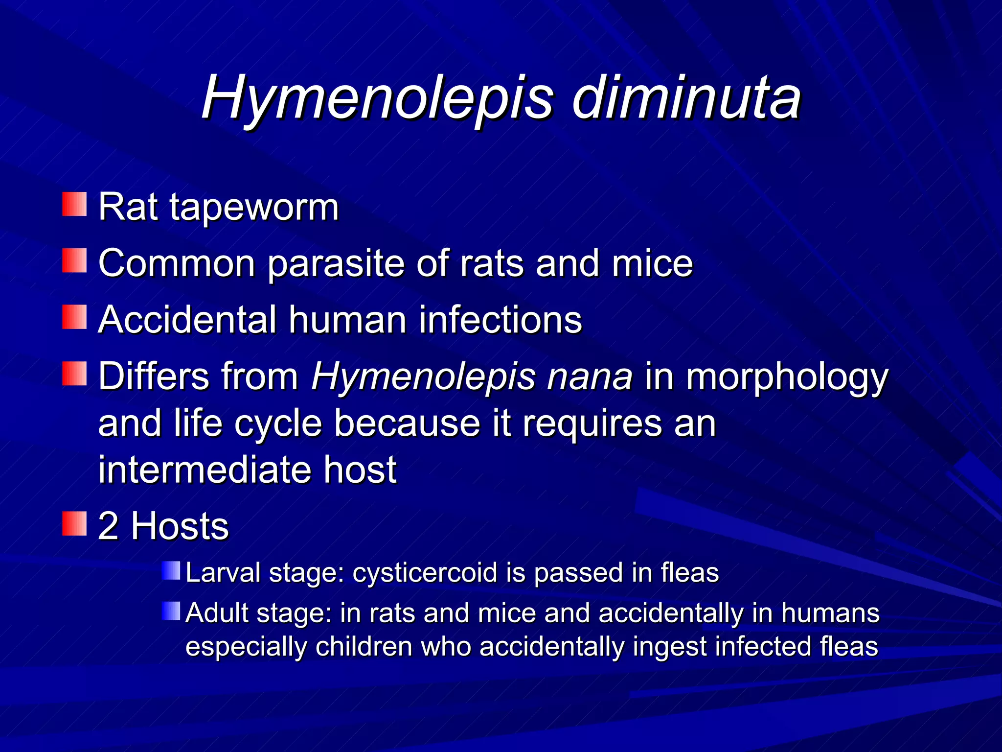 Hymenolepis diminuta
Rat tapeworm
Common parasite of rats and mice
Accidental human infections
Differs from Hymenolepis nana in morphology
and life cycle because it requires an
intermediate host
2 Hosts
    Larval stage: cysticercoid is passed in fleas
    Adult stage: in rats and mice and accidentally in humans
    especially children who accidentally ingest infected fleas
 