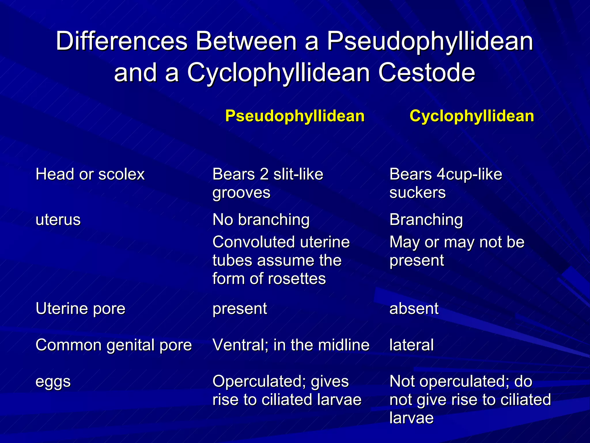 Differences Between a Pseudophyllidean
        and a Cyclophyllidean Cestode
                       Pseudophyllidean            Cyclophyllidean


Head or scolex        Bears 2 slit-like         Bears 4cup-like
                      grooves                   suckers
uterus                No branching              Branching
                      Convoluted uterine        May or may not be
                      tubes assume the          present
                      form of rosettes
Uterine pore          present                   absent

Common genital pore   Ventral; in the midline   lateral

eggs                  Operculated; gives        Not operculated; do
                      rise to ciliated larvae   not give rise to ciliated
                                                larvae
 