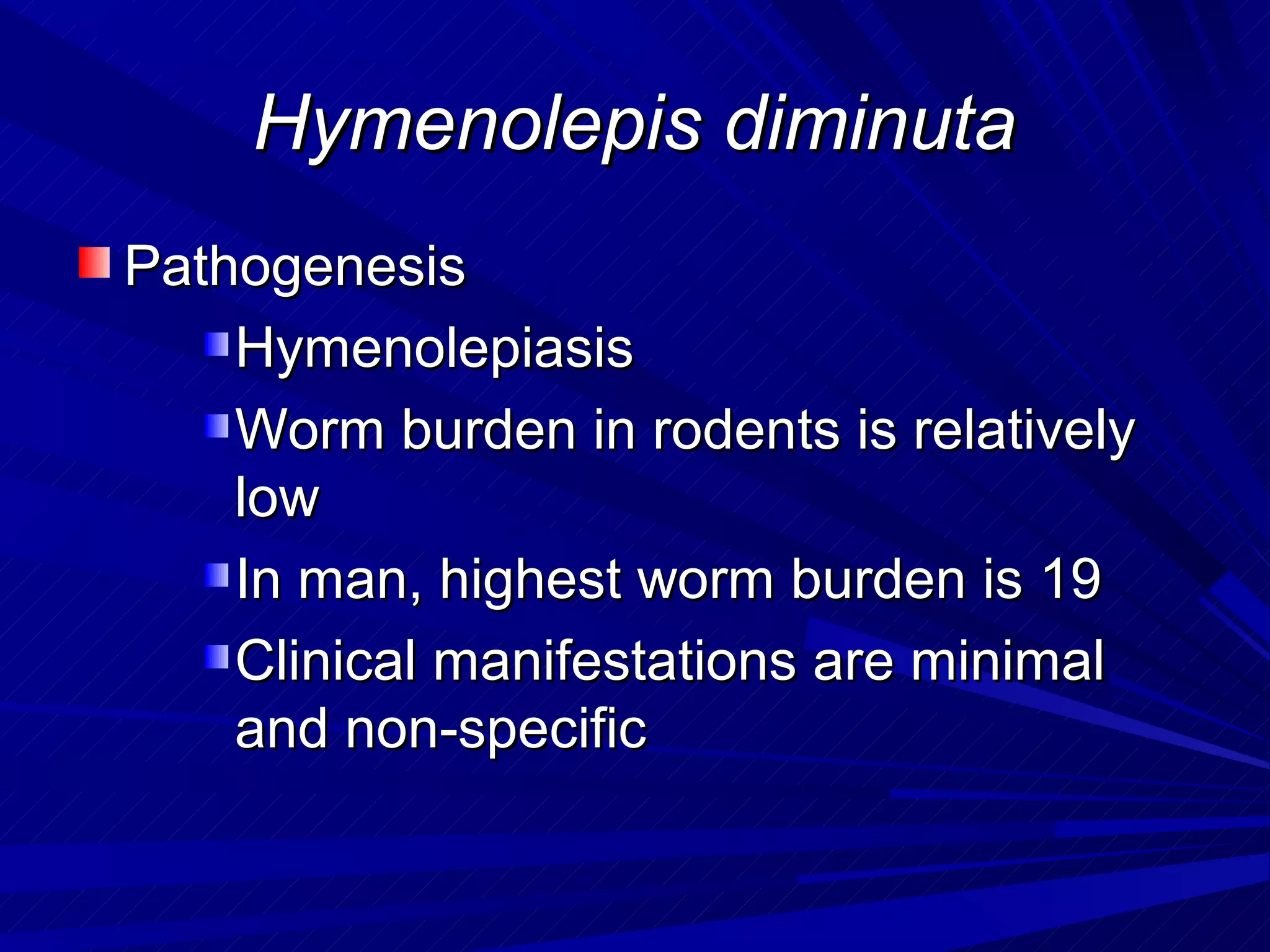 Hymenolepis diminuta
Pathogenesis
    Hymenolepiasis
    Worm burden in rodents is relatively
    low
    In man, highest worm burden is 19
    Clinical manifestations are minimal
    and non-specific
 