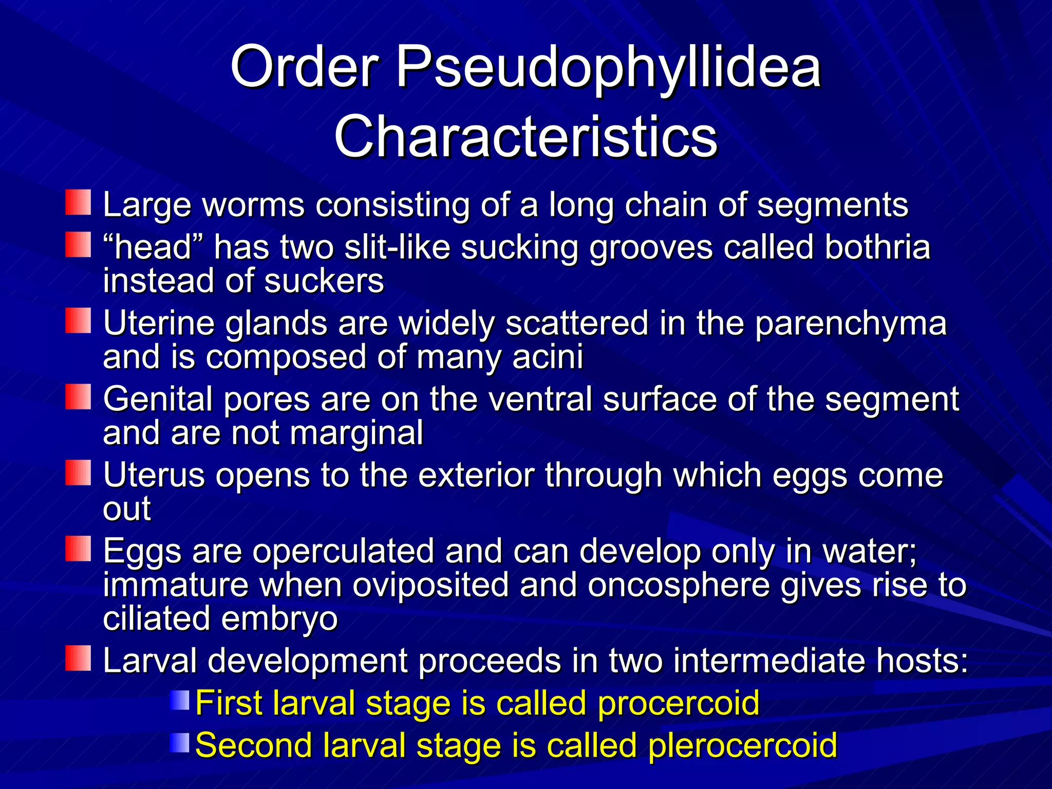 Order Pseudophyllidea
           Characteristics
Large worms consisting of a long chain of segments
“head” has two slit-like sucking grooves called bothria
instead of suckers
Uterine glands are widely scattered in the parenchyma
and is composed of many acini
Genital pores are on the ventral surface of the segment
and are not marginal
Uterus opens to the exterior through which eggs come
out
Eggs are operculated and can develop only in water;
immature when oviposited and oncosphere gives rise to
ciliated embryo
Larval development proceeds in two intermediate hosts:
       First larval stage is called procercoid
       Second larval stage is called plerocercoid
 
