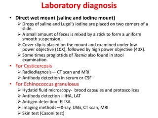 Laboratory diagnosis
• Direct wet mount (saline and iodine mount)
 Drops of saline and Lugol’s iodine are placed on two corners of a
slide.
 A small amount of feces is mixed by a stick to form a uniform
smooth suspension.
 Cover slip is placed on the mount and examined under low
power objective (10X); followed by high power objective (40X).
 Some times proglottids of Taenia also found in stool
examination.
• For Cysticercosis
 Radiodiagnosis— CT scan and MRI
 Antibody detection in serum or CSF
• For Echinococcus granulosus
 Hydatid fluid microscopy- brood capsules and protoscolices
 Antibody detection – IHA, LAT
 Antigen detection- ELISA
 Imaging methods—X-ray, USG, CT scan, MRI
 Skin test (Casoni test)
 