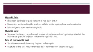 Hydatid fluid
 It is clear, colorless to pale yellow h It has a pH of 6.7
 It contains sodium chloride, sodium sulfate, sodium phosphate and succinates.
 It is antigenic, toxic and anaphylactic
Hydatid sand
 Some of the brood capsules and protoscolices break off and gets deposited at the
bottom as granular deposit to form the hydatid sand.
Fate of the hydatid cyst
 Spontaneous resolution may happen to few cysts.
 Rupture of the cyst may either lead to: − Formation of secondary cysts
 