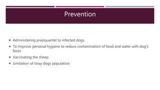 Prevention
 Administering praziquantel to infected dogs.
 To improve personal hygiene to reduce contamination of food and water with dog’s
feces
 Vaccinating the sheep
 Limitation of stray dogs population
 