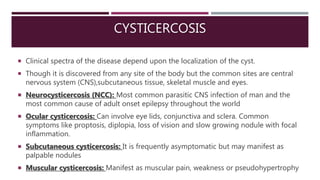 CYSTICERCOSIS
 Clinical spectra of the disease depend upon the localization of the cyst.
 Though it is discovered from any site of the body but the common sites are central
nervous system (CNS),subcutaneous tissue, skeletal muscle and eyes.
 Neurocysticercosis (NCC): Most common parasitic CNS infection of man and the
most common cause of adult onset epilepsy throughout the world
 Ocular cysticercosis: Can involve eye lids, conjunctiva and sclera. Common
symptoms like proptosis, diplopia, loss of vision and slow growing nodule with focal
inflammation.
 Subcutaneous cysticercosis: It is frequently asymptomatic but may manifest as
palpable nodules
 Muscular cysticercosis: Manifest as muscular pain, weakness or pseudohypertrophy
 