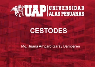 CESTODES
Mg. Juana Amparo Garay Bambaren
 