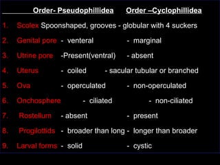 Operculated Shape Cestodes by Dr. KennedyMunisi MD. MMed. Msc.ppt