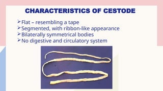 Cestodes parasitology powerpoint presentation | PPT