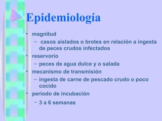Epidemiología magnitud casos aislados o brotes en relación a ingesta de peces crudos infectados  reservorio  peces de agua dulce y o salada mecanismo de transmisión  ingesta de carne de pescado crudo o poco cocido  período de incubación 3 a 6 semanas   