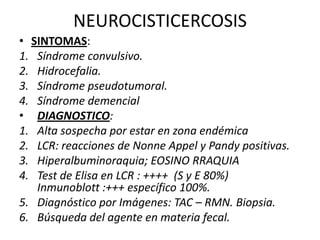 NEUROCISTICERCOSIS
• SINTOMAS:
1. Síndrome convulsivo.
2. Hidrocefalia.
3. Síndrome pseudotumoral.
4. Síndrome demencial
• DIAGNOSTICO:
1. Alta sospecha por estar en zona endémica
2. LCR: reacciones de Nonne Appel y Pandy positivas.
3. Hiperalbuminoraquia; EOSINO RRAQUIA
4. Test de Elisa en LCR : ++++ (S y E 80%)
Inmunoblott :+++ específico 100%.
5. Diagnóstico por Imágenes: TAC – RMN. Biopsia.
6. Búsqueda del agente en materia fecal.
 