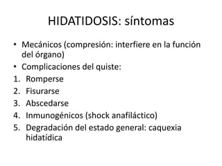 HIDATIDOSIS: síntomas
• Mecánicos (compresión: interfiere en la función
del órgano)
• Complicaciones del quiste:
1. Romperse
2. Fisurarse
3. Abscedarse
4. Inmunogénicos (shock anafiláctico)
5. Degradación del estado general: caquexia
hidatídica
 