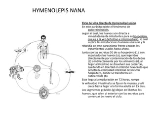 HYMENOLEPIS NANA
Ciclo de vida directo de Hymenolepis nana.
En este parásito existe el fenómeno de
autorreinfección,
según el cual, los huevos son directa e
inmediatamente infestantes para su hospedero,
que es a la vez definitivo e intermediario, lo cual
explica las infestaciones humanas masivas y la
rebeldía de este parasitismo frente a todos los
tratamientos usados hasta ahora.
Junto con las excretas (h) de su hospedero (1), son
expulsados los huevos (a), que ingeridos
directamente por contaminación de los dedos
(d) o indirectamente por los alimentos (i), al
llegar al intestino se disuelven sus cubiertas,
quedando en libertad el embrión hexacanto que
penetra la vellosidad intestinal del mismo
hospedero, donde se transforma en
cisticercoide (b).
Este llega a la maduración en 72 horas, rompe
la vellosidad intestinal y se fija en la mucosa, y allí
crece hasta llegar a la forma adulta en 15 días.
Los segmentos grávidos (g) dejan en libertad los
huevos, que salen al exterior con las excretas para
comenzar de nuevo el ciclo.
 