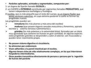 • Parásitos aplanados, acintados y segmentados, compuestos por:
1- un órgano de fijación llamado ESCOLEX y
2- un CUERPO o ESTROBILO constituido por segmentos llamados PROGLOTIDES, que
tienen independencia morfológica y fisiológica.
El escólex, que es más pequeño que el resto del cuerpo, es un órgano fijador que
posee ventosas o ganchos, en cuyo extremo posterior o cuello se forman los
proglótides nuevos.
Los proglótides pueden ser:
 inmaduros (los más jóvenes y más cerca del escólex)
 maduros (que poseen órganos sexuales masculinos y femeninos, aparato
excretor y sistema nervioso rudimentario) y
 grávidos (los más próximos a la extremidad distal, formados por un útero
muy agrandado que contiene los huevos en gran cantidad). En algunas especies
estos proglótides grávidos se desprenden y salen al exterior; son musculados y
pueden tener movimiento propio.
• No poseen sistema digestivo ni circulatorio.
• Se alimentan por endósmosis
• Viven adheridos a la pared intestinal por el escólex.
• Algunos tienen ciclos de vida relativamente complejos, en los que intervienen
hospederos intermediarios.
• Otros pueden transmitirse directamente de persona a persona por la ingestión
de huevos del parásito
 