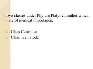 Cestodes and trematodes | PPTX