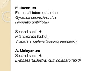 Cestodes and trematodes | PPTX