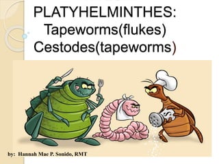 PHYLUM 
PLATYHELMINTHES: 
Tapeworms(flukes) 
Cestodes(tapeworms) 
by: Hannah Mae P. Sonido, RMT 
 